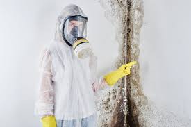 Best Mold Odor Removal Services  in New Cumberland, PA